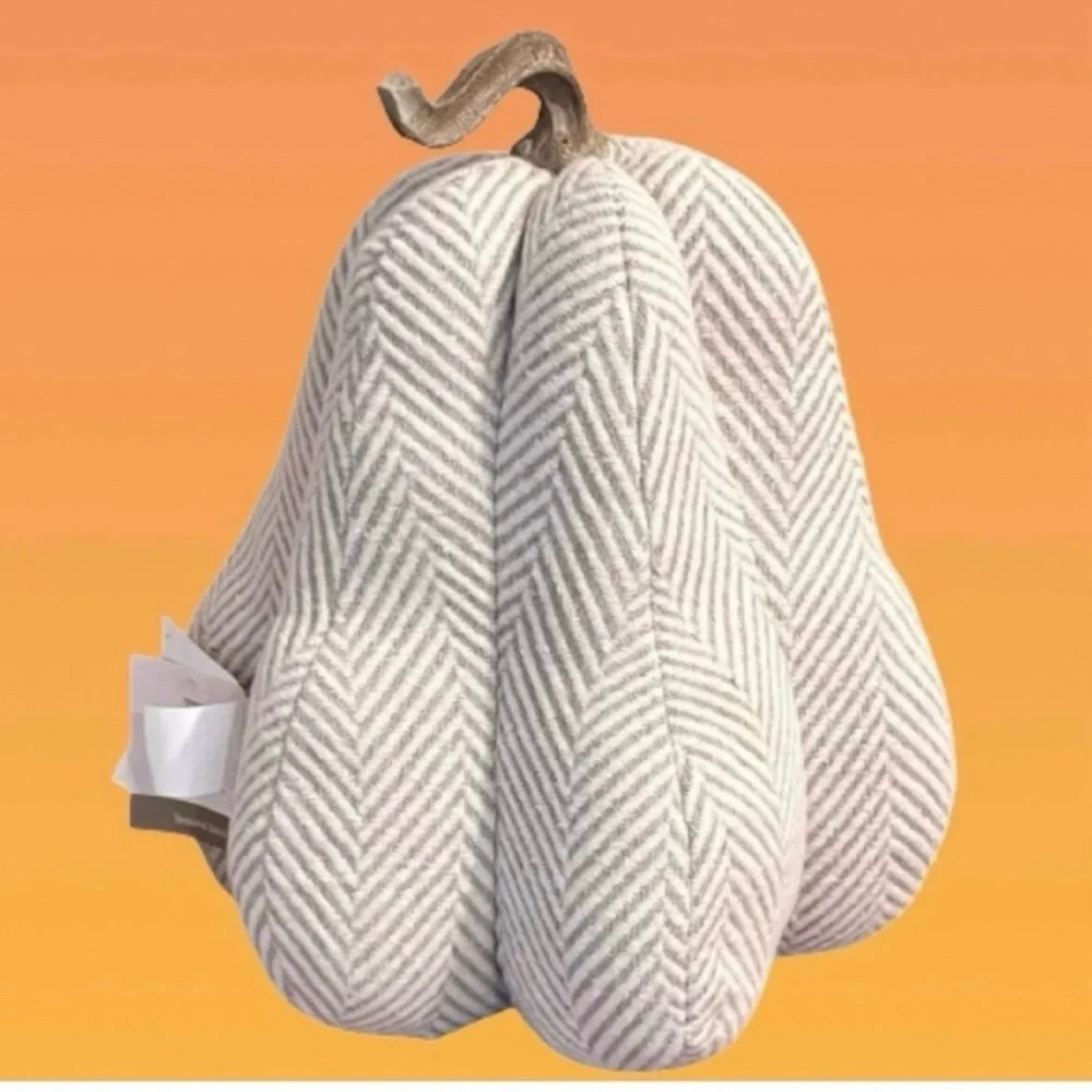 NWT- Hay Market Herringbone Fabric Neutral Pumpkin Accent Pillow